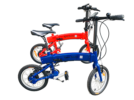Folding Electric Bike
