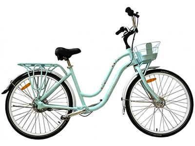 Step-Through Bike