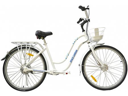 Step-Through Bike